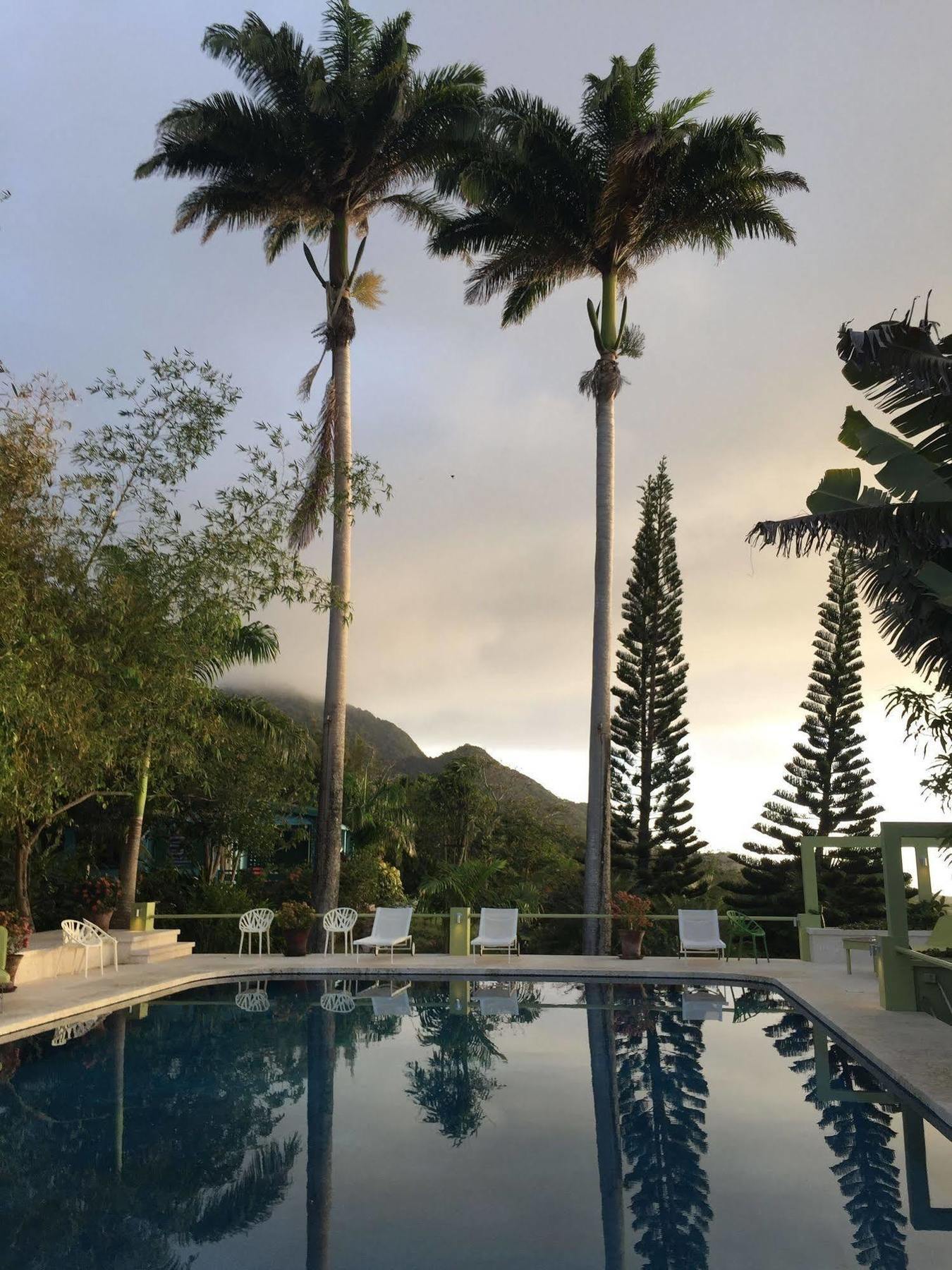 Hotel Golden Rock Nevis Extérieur photo